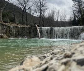 Ausflug zu Bosco